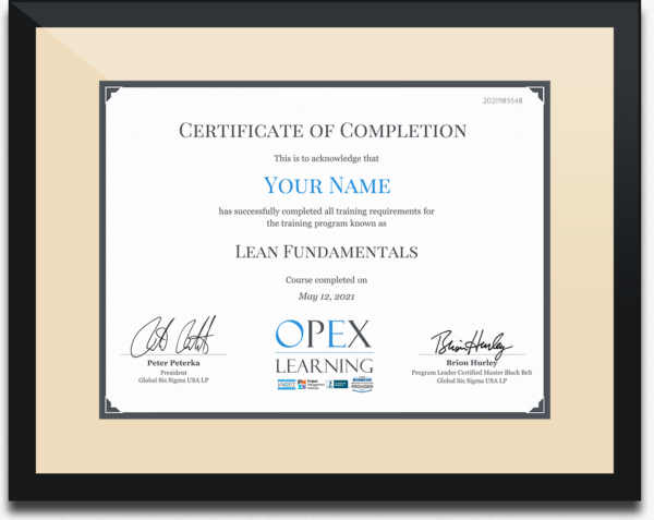 Lean Fundamentals Training and Certification - OpEx Learning